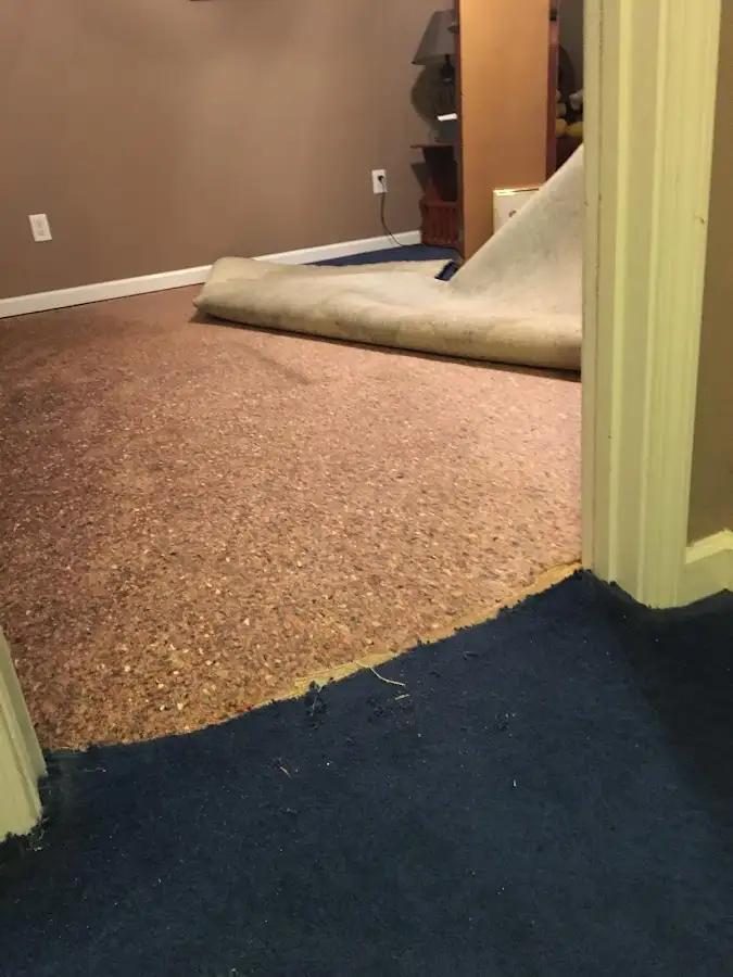 Carpet pad removal revealing water damage during Drying & Dehumidification in Grosse Pointe Farms