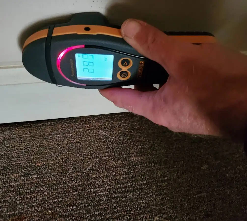 Moisture detection at baseboard during Sewage Cleanup & Sanitation in Grosse Pointe Farms